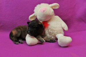 1001369_678393798843109_631570914_n