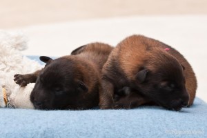 1005187_152314214960868_828046767_n