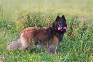 1005193_678096482206174_1956305641_n