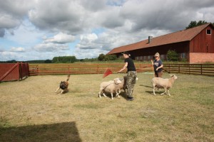 1010339_10151572292778732_750565215_n