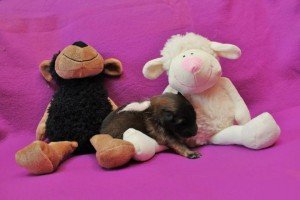 1010339_678390708843418_1289805843_n