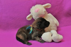 1010842_678386695510486_1733582547_n