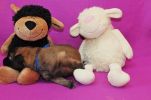 1011504_678385388843950_1884458345_n