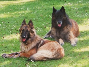 1011534_590846664293976_1626573611_n