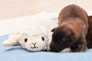 1069135_152313968294226_440150668_n