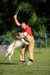 1075301_549997135063481_644808293_n