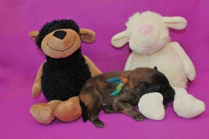 13252_678387095510446_1931157898_n