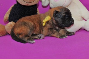 18938_678395355509620_541393875_n