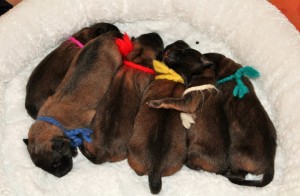 31574_674768242538998_97121471_n