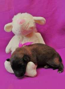 33859_678384515510704_180156988_n