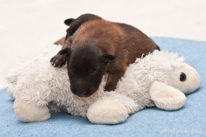 46366_152314528294170_1352496196_n