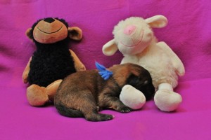 540692_678385828843906_1550403845_n