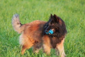 601740_678095518872937_770257497_n