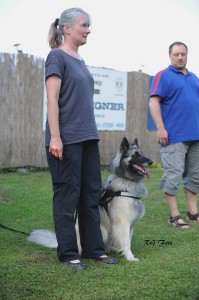 602993_549997065063488_604781715_n