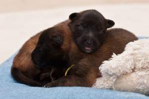 60716_152314454960844_1979004835_n