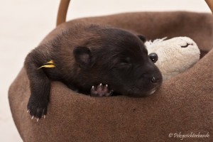 64612_152314664960823_1933937283_n