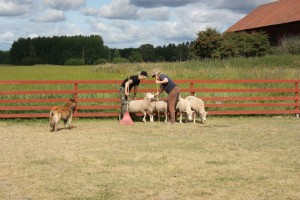 69205_10151572293133732_1292702740_n