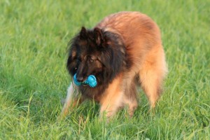 72628_678094472206375_819734909_n