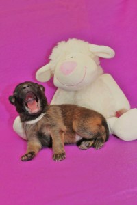 935063_678390335510122_449570005_n