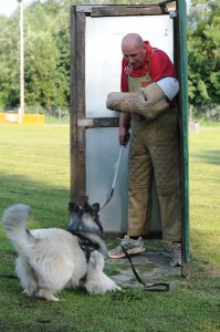 943633_549996338396894_1424469239_n