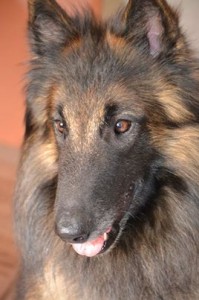 943644_595495870473302_793719954_n