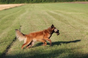 1000207_684894671526355_78929392_n