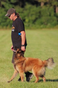 1098208_684887008193788_1227831708_n