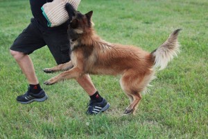 970288_684890341526788_1365134426_n