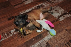 999553_685359804813175_384362562_n