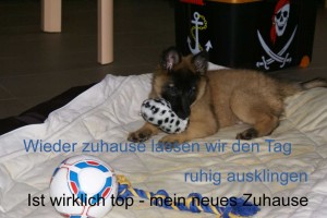 9_9-Wochen