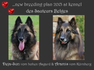 new breeding plan 2013 Deja_Aramis