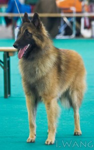 Topaz
