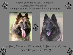 Happy Birthday to the X-litter Greifenring_2014