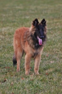 IMG_3845 - Kopie