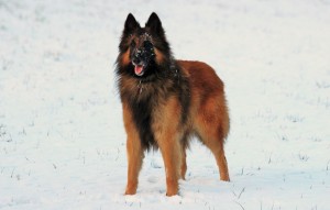 IMG_7179 - Kopie - Kopie