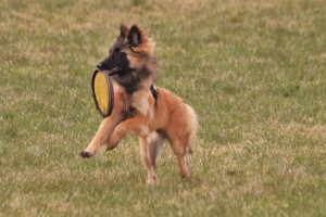 IMG_9686