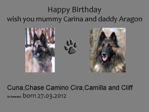 Carina_Aragon_Wurf