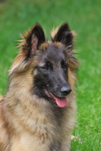 2000-01-01 29.05.2014 107