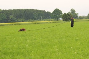 2000-01-01 29.05.2014 225