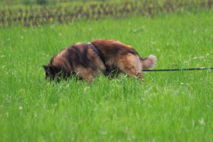 2000-01-01 29.05.2014 310