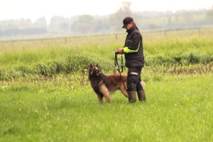 2000-01-01 29.05.2014 392