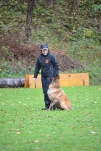 10440656_863930183622802_4510892762876409466_n