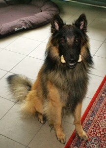 Geburtstag_Bonito_2