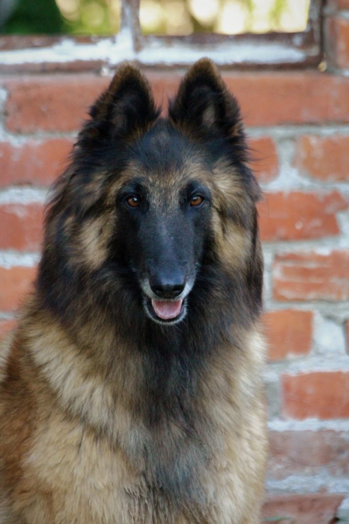 Dieses Bild hat ein leeres Alt-Attribut. Der Dateiname ist IMG_6927-2-683x1024.jpg