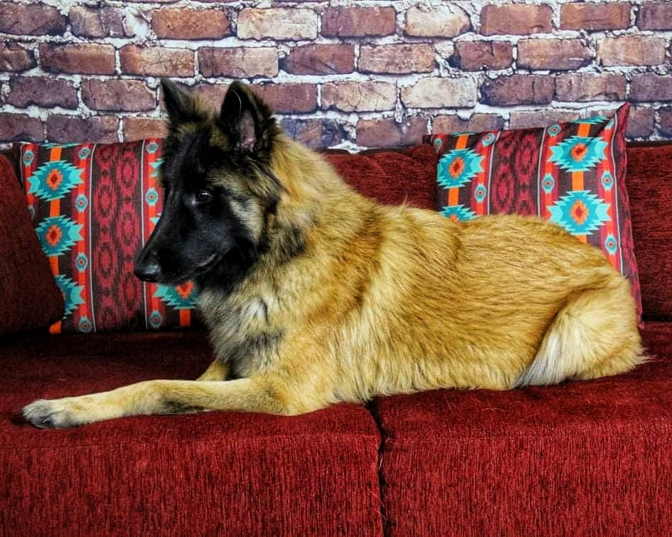 Dieses Bild hat ein leeres Alt-Attribut. Der Dateiname ist 275064953_671157814119124_7493329372572531772_n.jpg