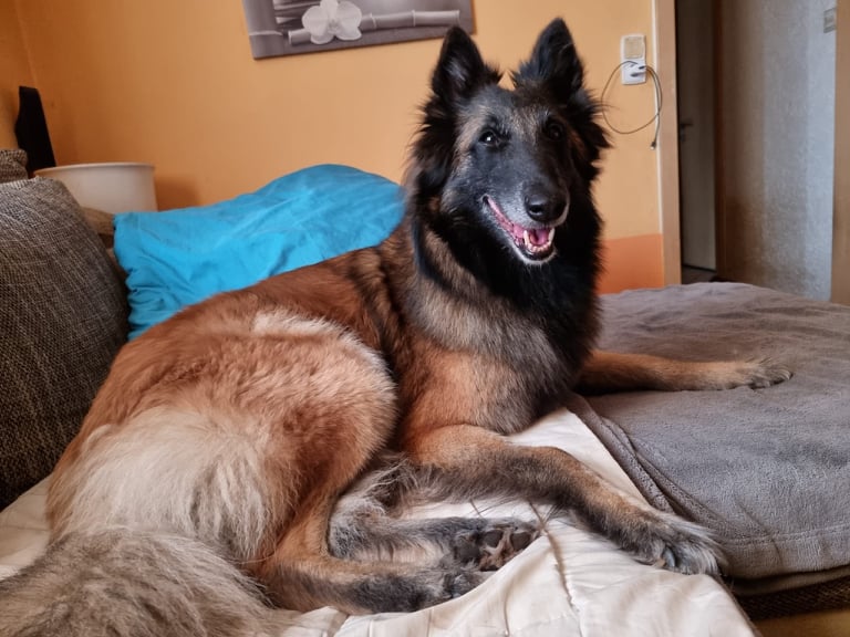 Dieses Bild hat ein leeres Alt-Attribut. Der Dateiname ist 275852129_1412203559223860_8623396491733193474_n.jpg