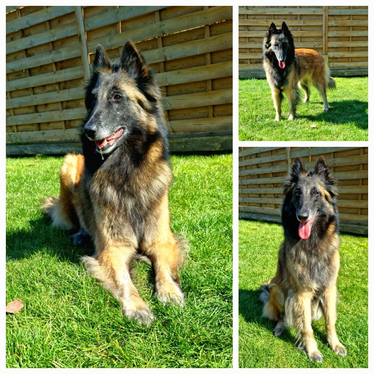 Dieses Bild hat ein leeres Alt-Attribut. Der Dateiname ist 276950716_345571054183273_3543410220580068849_n.jpg