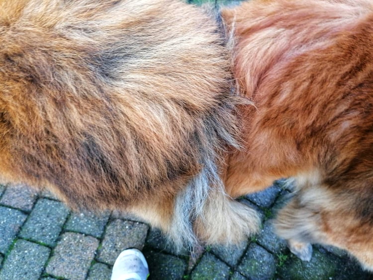 Dieses Bild hat ein leeres Alt-Attribut. Der Dateiname ist 278399912_538098698034045_5001522924634762377_n.jpg