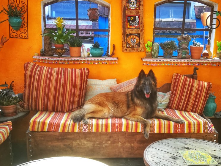 Dieses Bild hat ein leeres Alt-Attribut. Der Dateiname ist 280418922_1010854066484617_9150447525191075884_n.jpg